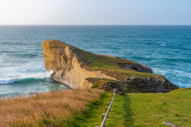 Dunedin, Yeni Zelanda yakınlarındaki Tünel plajının manzarası