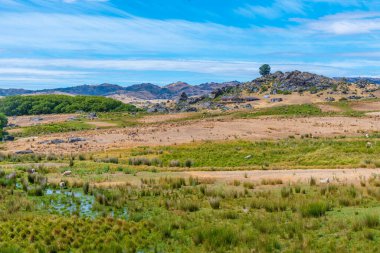 Yeni Zelanda 'da Merkez Otago Demiryolu' ndan izlenen koyun çiftliği.