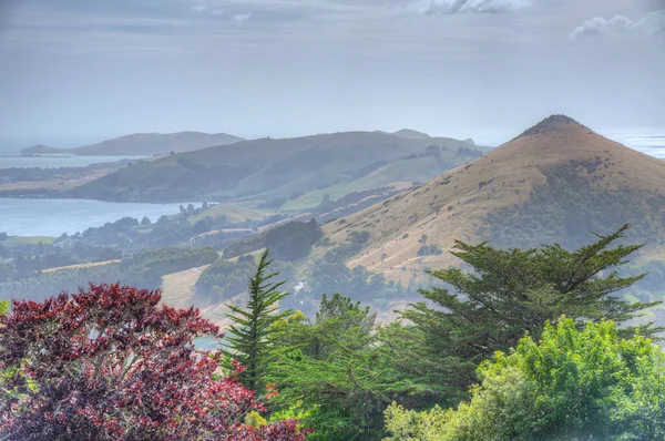 ニュージーランドのダンディーに近いオタゴ半島の風景 — ストック写真