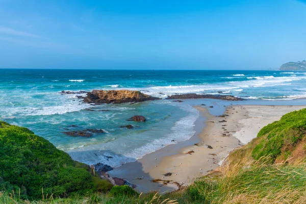 Saint Claire Saint Kilda Advogados Praias Dunedin Nova Zelândia — Fotografia de Stock