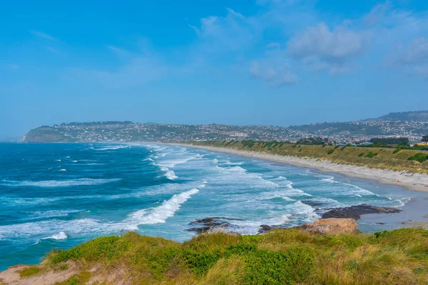 Saint Claire, Saint Kilda ve Avukatlar Yeni Zelanda, Dunedin 'deki plajları yönetiyor.