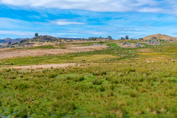 Granja Ovejas Vista Desde Central Otago Carril Carril Bici Nueva —  Fotos de Stock