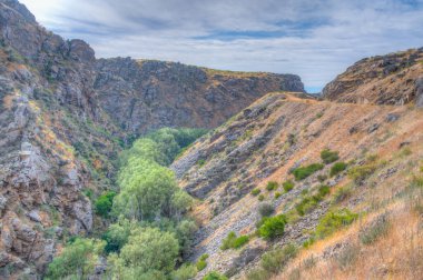 Ida Nehri Vadisi Yeni Zelanda 'da Merkez Otago Demiryolu bisiklet yolu kenarında.