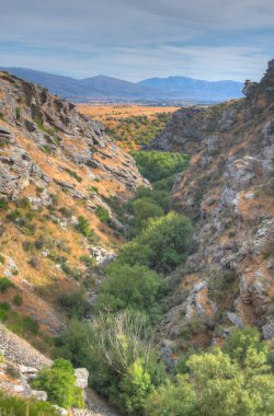 Ida Nehri Vadisi Yeni Zelanda 'da Merkez Otago Demiryolu bisiklet yolu kenarında.