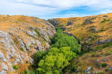Ida Nehri Vadisi Yeni Zelanda 'da Merkez Otago Demiryolu bisiklet yolu kenarında.