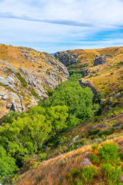 Ida Nehri Vadisi Yeni Zelanda 'da Merkez Otago Demiryolu bisiklet yolu kenarında.