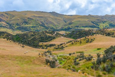 Otago bölgesinin manzarası Yeni Zelanda 'daki Merkez Otago Demiryolu bisiklet yolundan