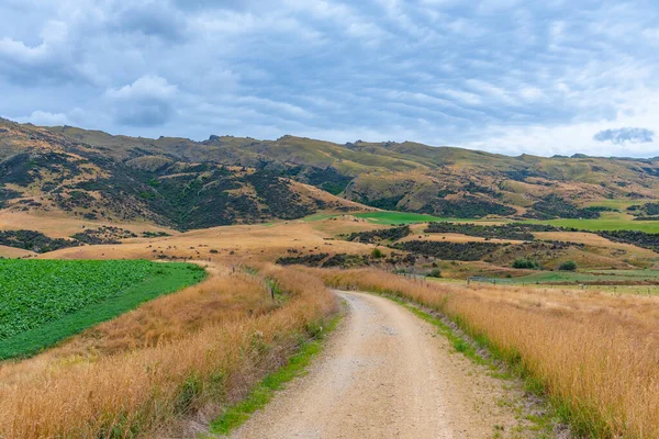 Krajobraz Regionu Otago Oglądany Szlaku Rowerowego Central Otago Railway Nowej — Zdjęcie stockowe