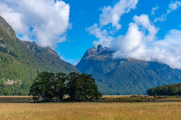 Paisaje Perillas Plano Nueva Zelanda — Foto de Stock