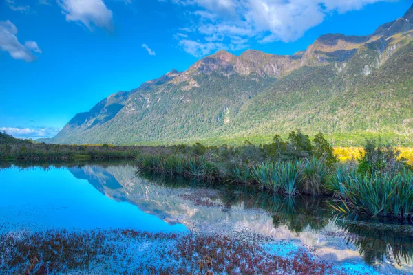 Καθρέφτης Λίμνες Στο Δρόμο Για Milford Sound Νέα Ζηλανδία — Φωτογραφία Αρχείου