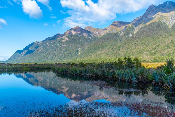 Καθρέφτης Λίμνες Στο Δρόμο Για Milford Sound Νέα Ζηλανδία — Φωτογραφία Αρχείου