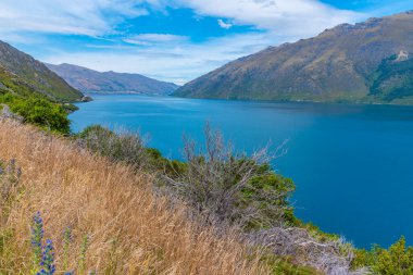 Yeni Zelanda 'daki Wakatipu Gölü