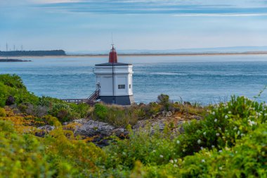 Yeni Zelanda 'daki heyecan verici deniz feneri