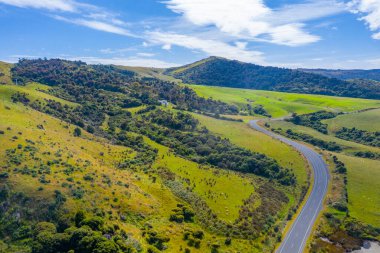 Yeni Zelanda 'nın Catlins bölgesinden geçen yol