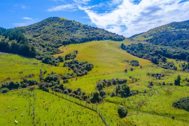 Yeni Zelanda 'nın Caitlins bölgesinin hava manzarası