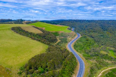 Yeni Zelanda 'nın Catlins bölgesinden geçen yol