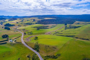 Yeni Zelanda 'nın Catlins bölgesinden geçen yol