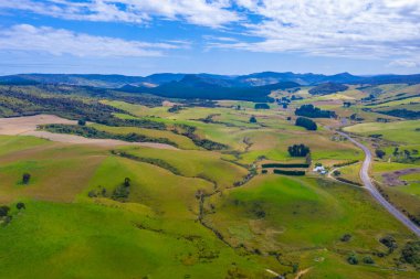 Yeni Zelanda 'nın Catlins bölgesinden geçen yol