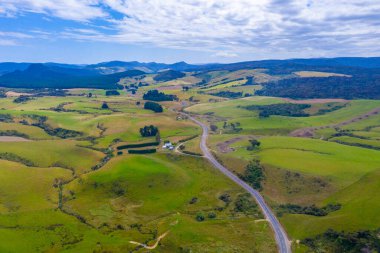 Yeni Zelanda 'nın Catlins bölgesinden geçen yol
