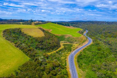 Yeni Zelanda 'nın Catlins bölgesinden geçen yol