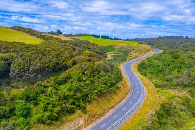 Yeni Zelanda 'nın Catlins bölgesinden geçen yol