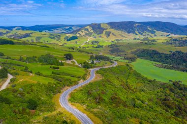 Yeni Zelanda 'nın Catlins bölgesinden geçen yol