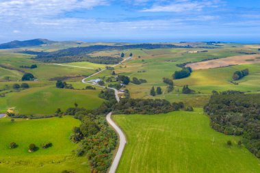 Yeni Zelanda 'nın Catlins bölgesinden geçen yol