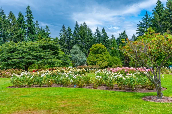 Queenstown Trädgårdspark Nya Zeeland — Stockfoto