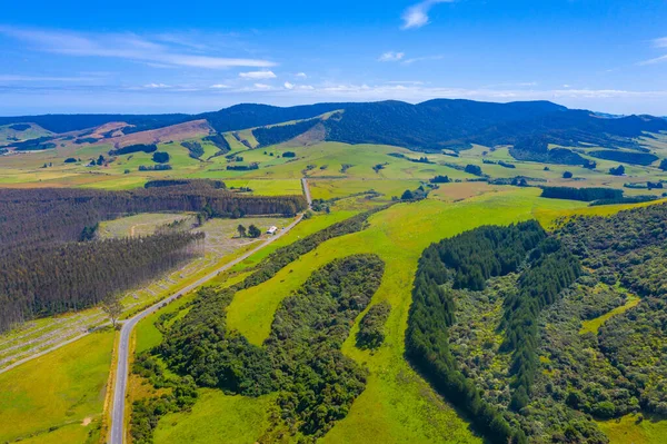 Cesta Vedoucí Přes Oblast Catlins Novém Zélandu — Stock fotografie