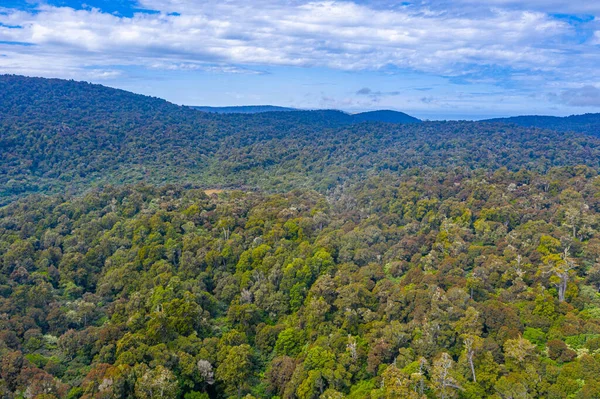 Luftaufnahme Der Landschaft Der Caitlins Region Neuseeland — Stockfoto