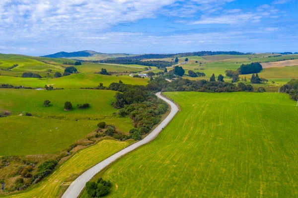 Cesta Vedoucí Přes Oblast Catlins Novém Zélandu — Stock fotografie