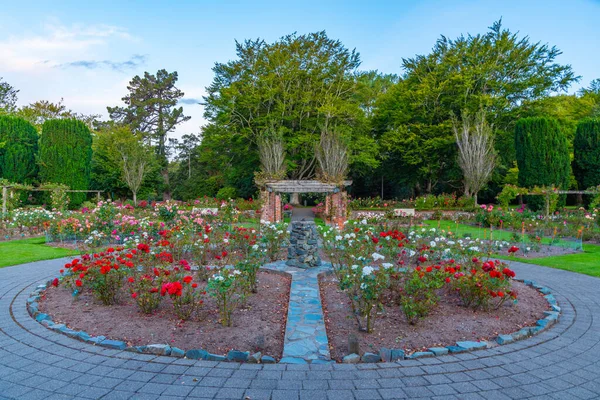 Rosengarten Queens Park Invercargill Neuseeland — Stockfoto