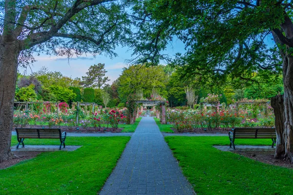 Rose Garden Parco Queens Invercargill Nuova Zelanda — Foto Stock