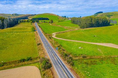 Yeni Zelanda 'nın Catlins bölgesinden geçen yol