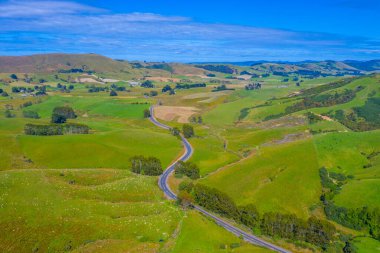 Yeni Zelanda 'nın Catlins bölgesinden geçen yol