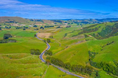 Yeni Zelanda 'nın Catlins bölgesinden geçen yol