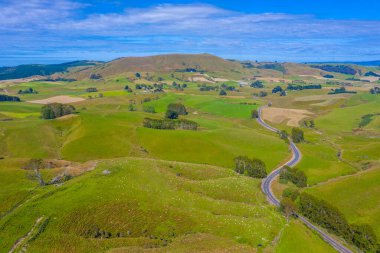 Yeni Zelanda 'nın Catlins bölgesinden geçen yol