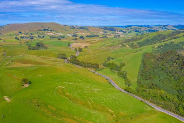 Yeni Zelanda 'nın Catlins bölgesinden geçen yol
