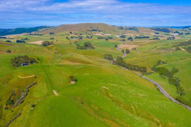 Yeni Zelanda 'nın Catlins bölgesinden geçen yol