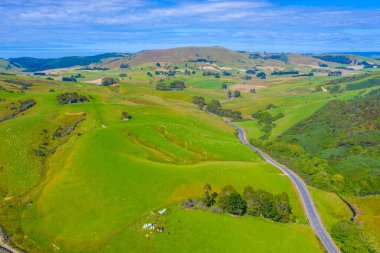 Yeni Zelanda 'nın Catlins bölgesinden geçen yol