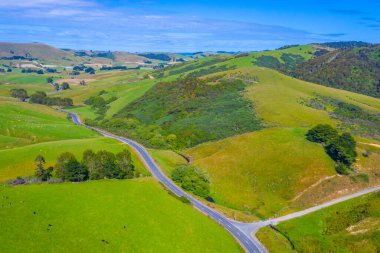Yeni Zelanda 'nın Catlins bölgesinden geçen yol