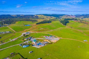 Yeni Zelanda 'nın Caitlins bölgesinde yeşil otlaklar