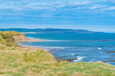 Waipapa kıyıları Yeni Zelanda 'da.