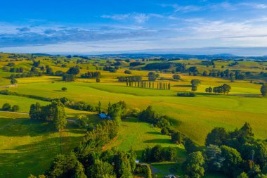 Güneş doğarken Yeni Zelanda 'da yeşil otlaklar
