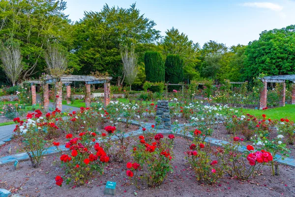 Rosengarten Queens Park Invercargill Neuseeland — Stockfoto