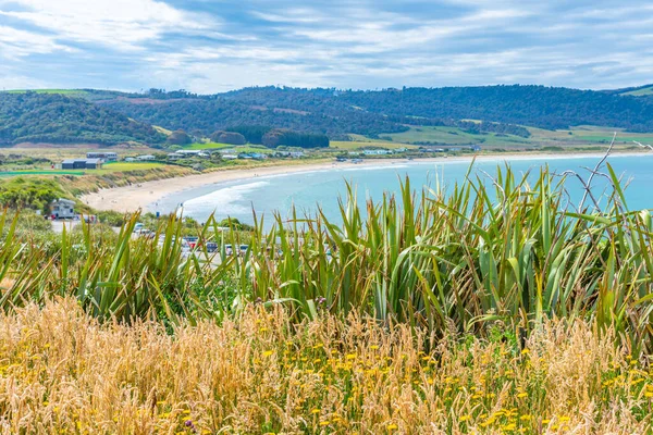 Curio Bay Beach Caitlins Region New Zealand — Stock Photo, Image