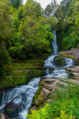 Koropuku Yeni Zelanda 'nın Catlins bölgesine düştü