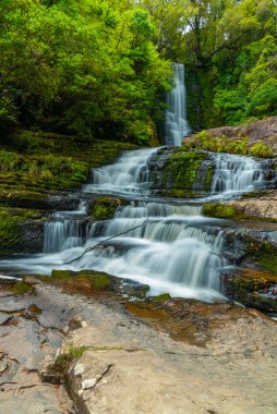 Koropuku Yeni Zelanda 'nın Catlins bölgesine düştü