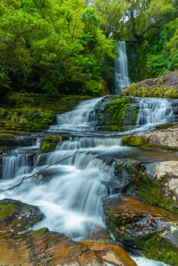Koropuku Yeni Zelanda 'nın Catlins bölgesine düştü