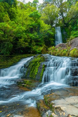 Koropuku Yeni Zelanda 'nın Catlins bölgesine düştü